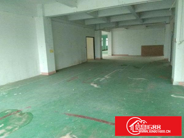 坪山马峦新出一楼标准345平有消防厂房出租