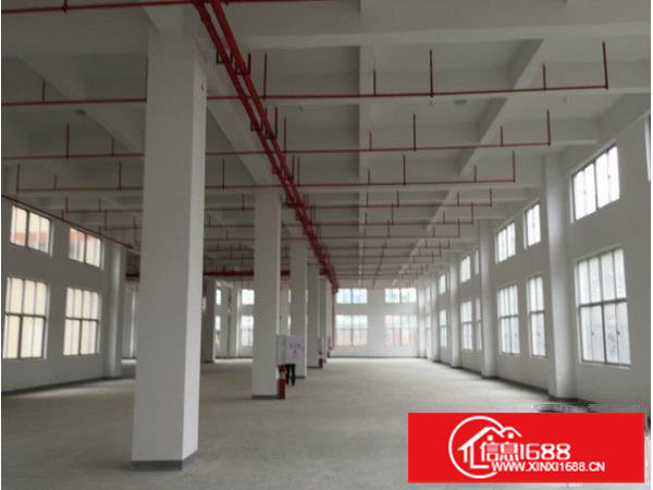 平湖新木村标准厂房一楼1300平有现成办公室装修