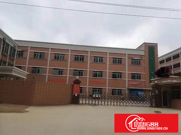 惠阳全新独院厂房带红本房产证招租