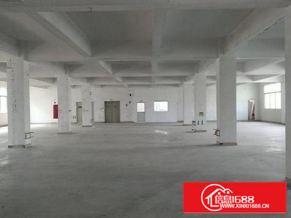 沙井新桥新二107国道旁6500平米村委厂房出租