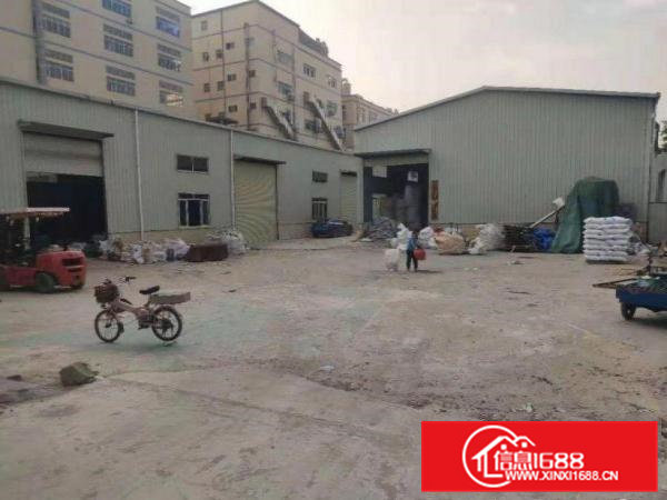 大井头路独门独院单一层1500平可办环评滴水7米