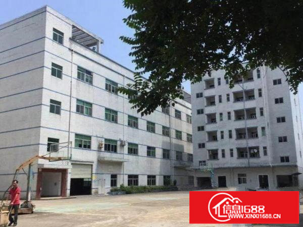 龙岗中心城独门独院厂房5000平米可分租