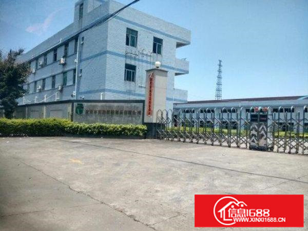 常平厂房出租出售/常平厂房中介公司