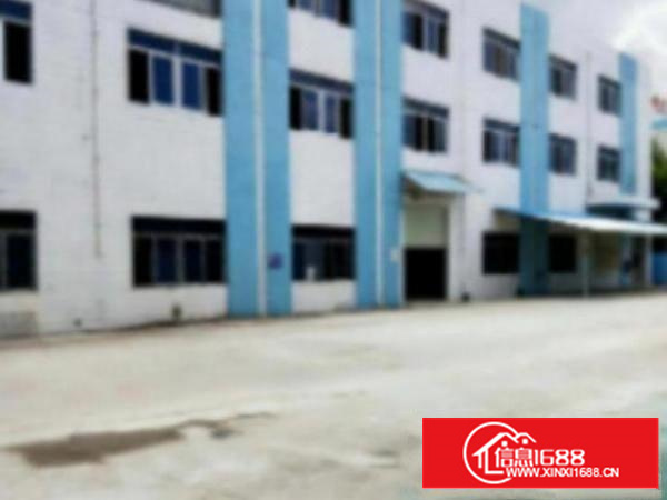 万江环城路外独院标准厂房一楼1000平方出租适合做设备、五金