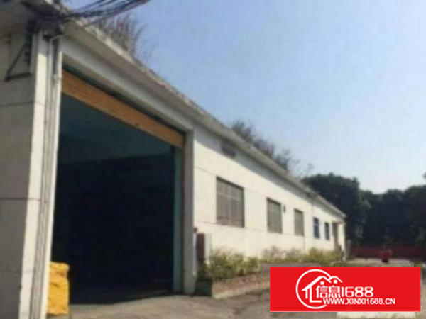 万江新村独门独院单一层铁皮房1600方厂房出租交通便利