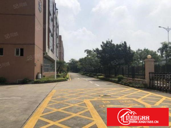 500平可分租坪山大工业区原房东10000平厂房出租层高6米