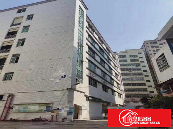 独门独院！坂田星河旁6000平独院厂房出租