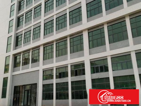 大朗富民工业城新出独院厂房15000平米舍3000平米电1千