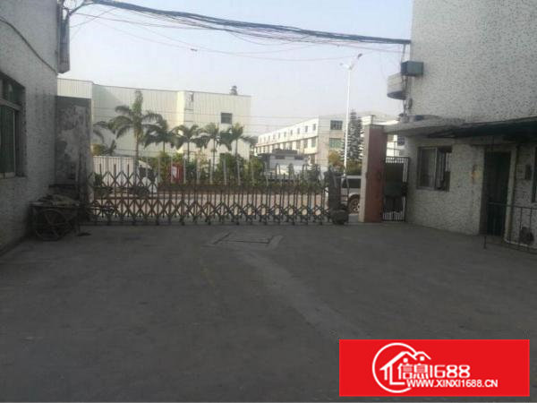 全石排便宜的厂房13块钱9200平独门独户