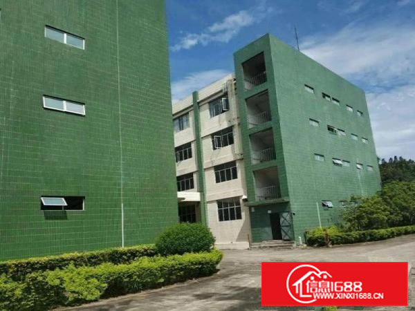 厦岗新出二楼带装修水电到位550平方米厂房出租