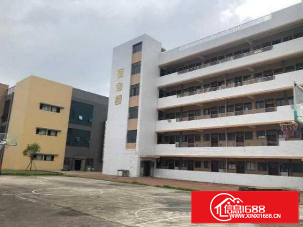 出租高明区明城豪华精装综合楼带员工宿舍