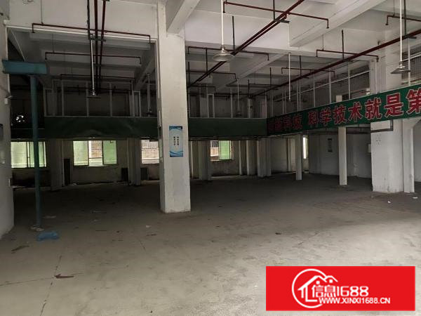 虎门北栅楼上2600方实际面积厂房出租带办公室装修带环评