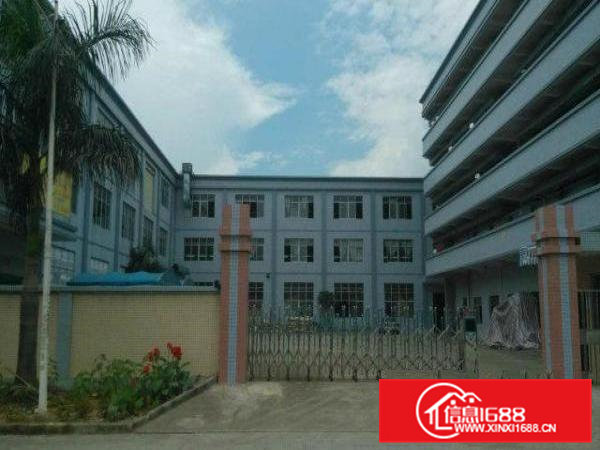 常平标准一楼带消防喷淋厂房出租1600平方