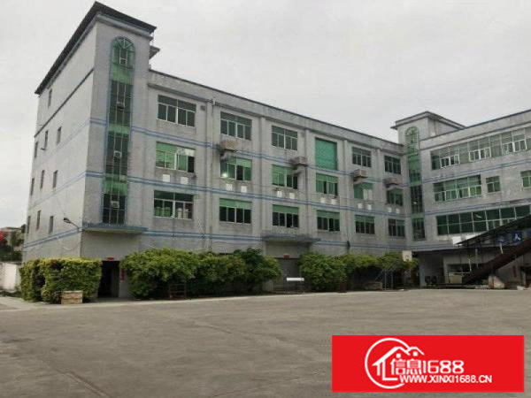 碧岭横坪公路边新出原楼上整层1100平方带豪华装修办公室出租