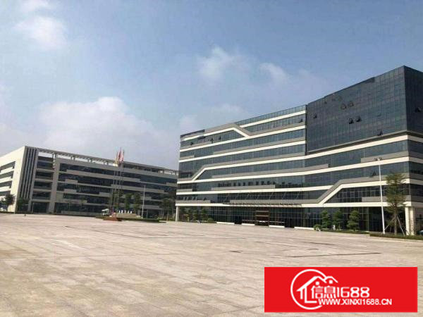 出租坪西南路独门独院厂房5000平可分租