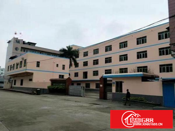 万江工业区标准一楼1000平方招租水电齐全