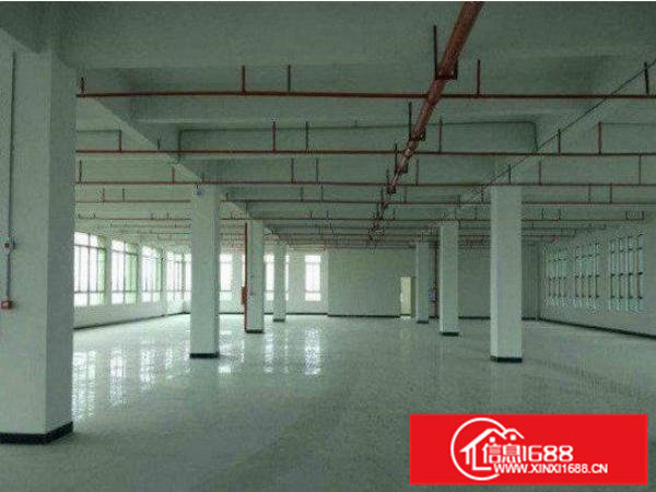 坪山六和城二楼带装修3200方（电大）园林管理