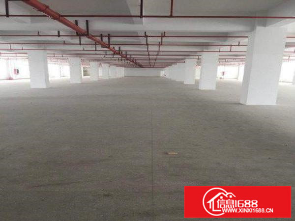 龙岗嶂背原房东独院厂房出租2500平每层可分租