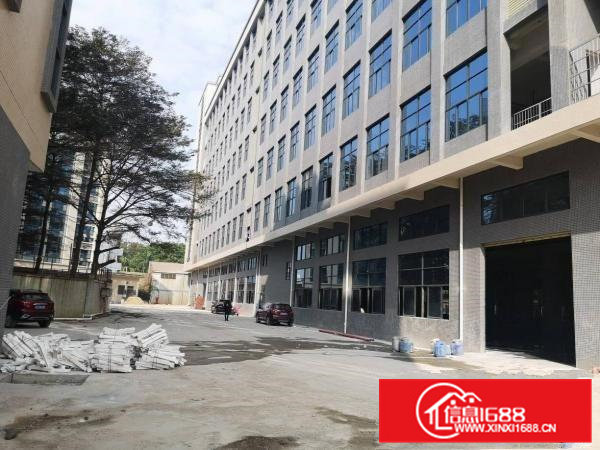 横沥新出村委全新厂房8层1万平方大小可以分