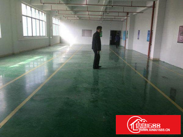 出租坪山新区三洋湖1300平带装修电子厂房