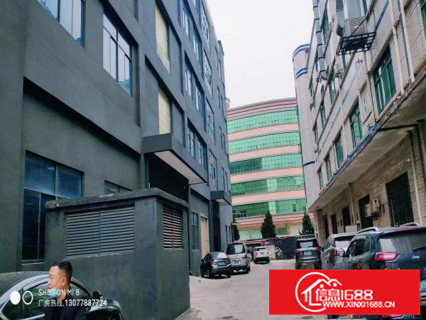 五联石头岭原房东全新厂房2楼