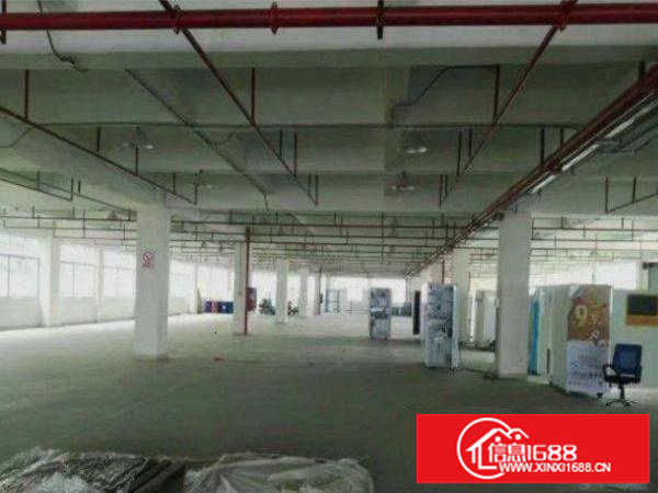 自家厂房招租坪山黄沙坑标准一楼厂房700平方