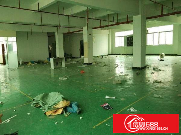 龙岗爱联地铁站1公里新出楼上1300平精装修出租