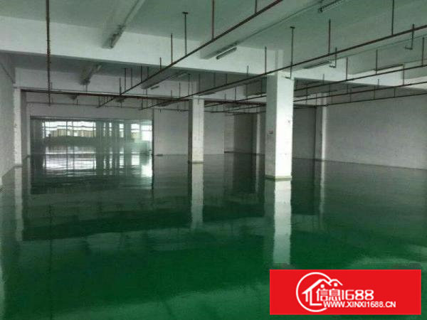 凤岗新出形象漂亮的标准楼上厂房1200平米主线到位