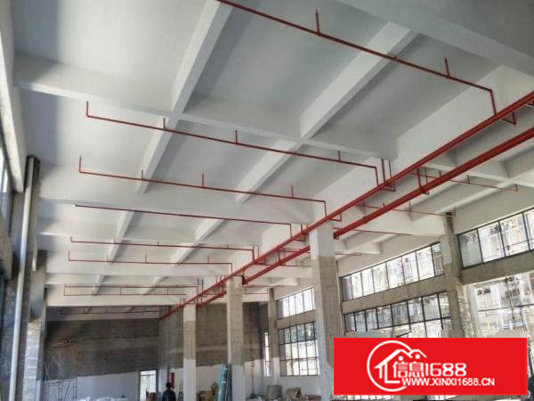 龙岗中心城原房东红本独院招租