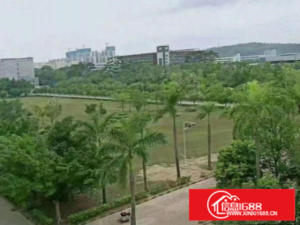 长安镇沙头南区花园式独院厂房51000平，可以分租