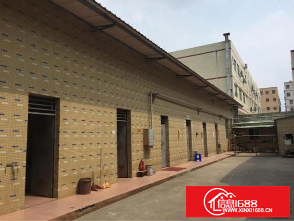 秋长小独院钢构厂房可过大货柜