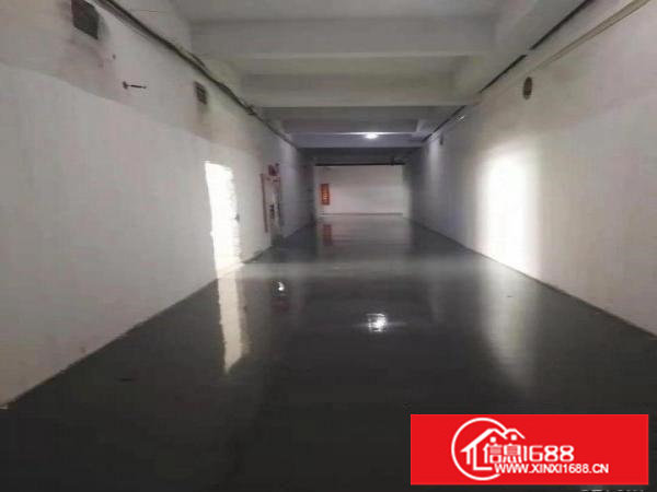 星河南坑第三工业园区附近新出楼上188平标准厂房出租