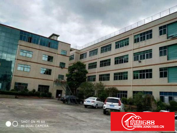 龙岗南联原房东独院共6500平方工业厂房出租