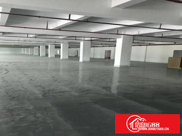 木棉湾厂房160平起租油画印刷珠宝仓库