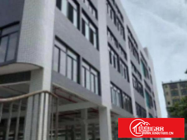 高埗4600方独门独院红本厂房出租