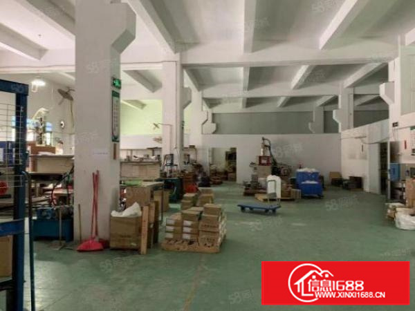 新出万江简沙洲正规园区标准一楼1200平方急租（可分租）