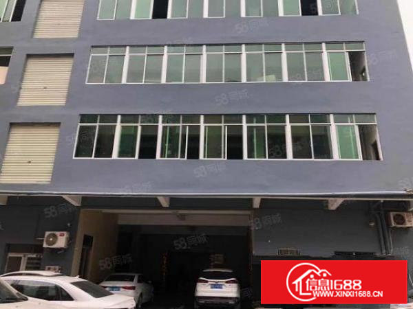 实图）大朗独院厂房1楼2楼4楼各1000平，新地坪漆，可分租