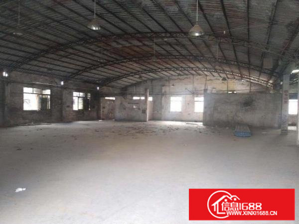 大岭山原房东独院单一层厂房2500平6.5米