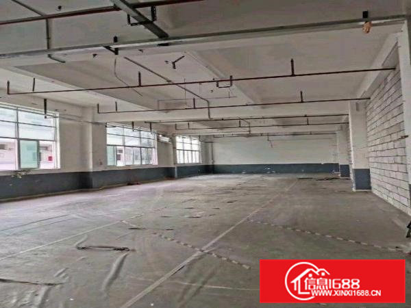 大朗原房东红本双证工业厂房分租一楼3千平方！