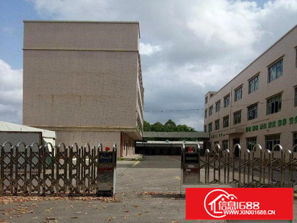 龙岗6200平米独院厂房出租