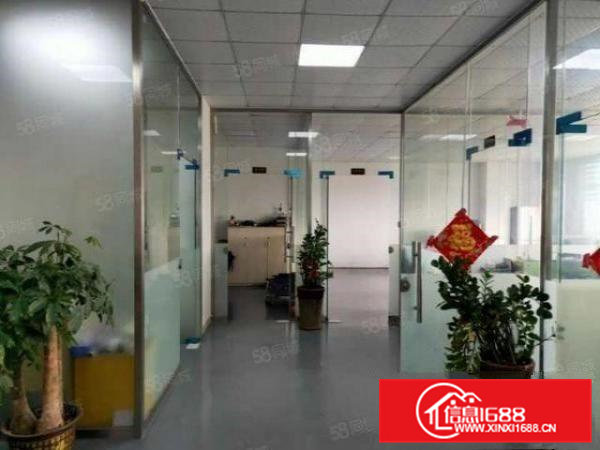 清溪现成装修厂房,单层1000平,租金13元,拎包入住!