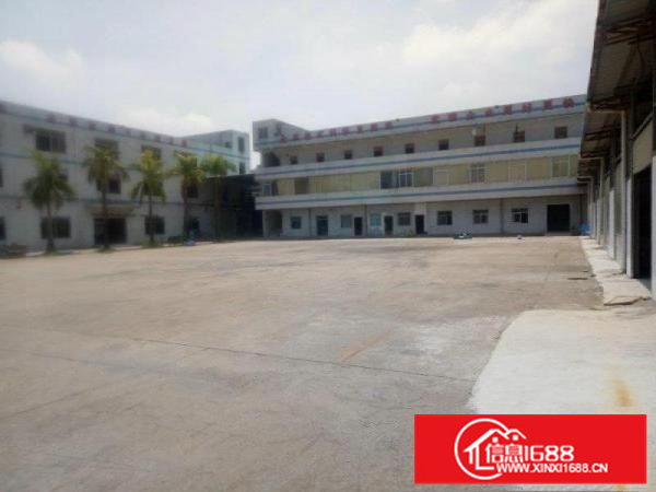 周末特惠出租！新墟长布工业区独院厂房，空地大