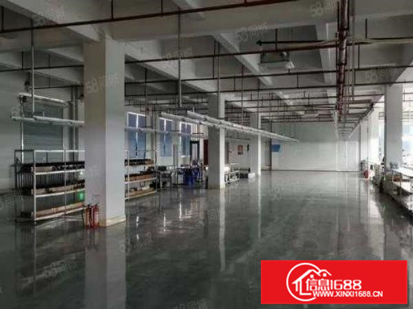 桥头新出独院标准厂房5000平方13层宿舍1000平价格好