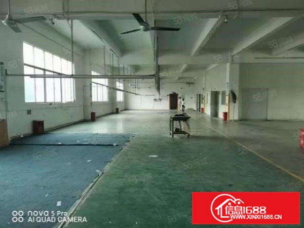 绿色地坪漆现成水电凤岗电子装配毛刷皮具手袋厂房出租