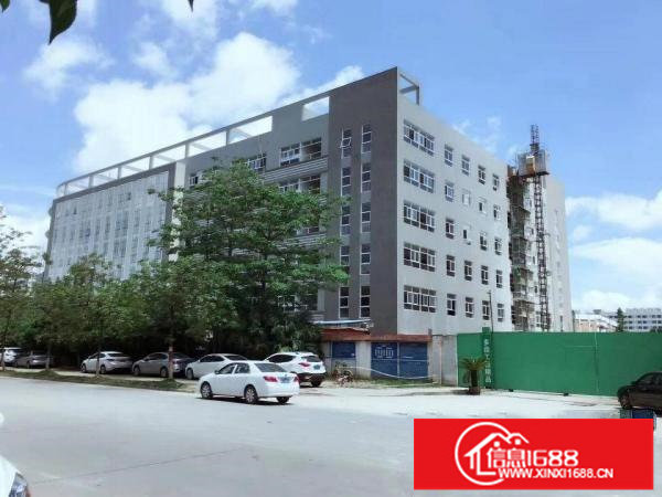 龙岗科技城高新产业园厂房宿舍办公室招租