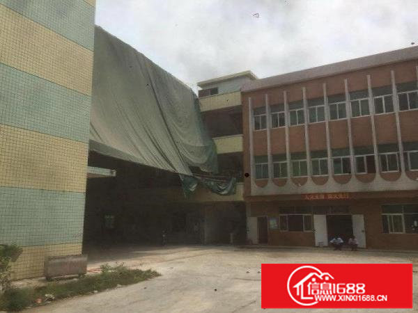 中心位置原房东独院3900平带精装修坪山江岭