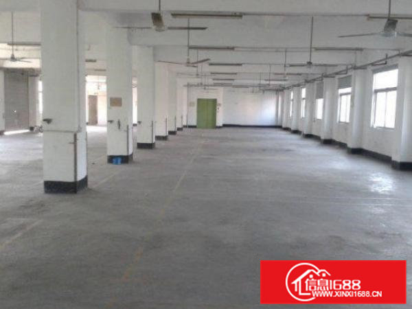 常平桥梓村标准厂房一楼900平交通方便空地大水电齐全环境好