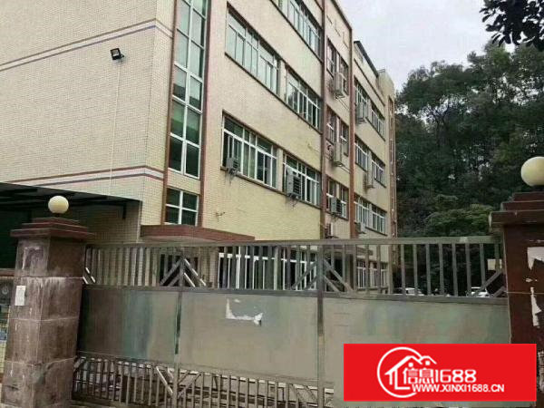 塘厦原房东红本独院厂房直租