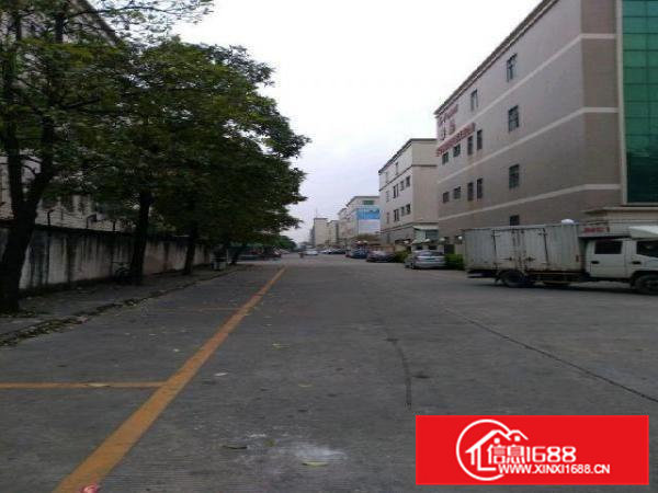 横沥镇新城工业区路段厂房1200平米