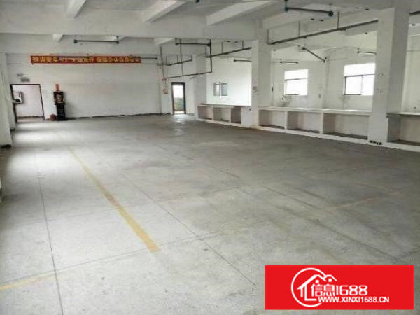 清溪荔横标准楼上500平，便宜出租，带水电装修